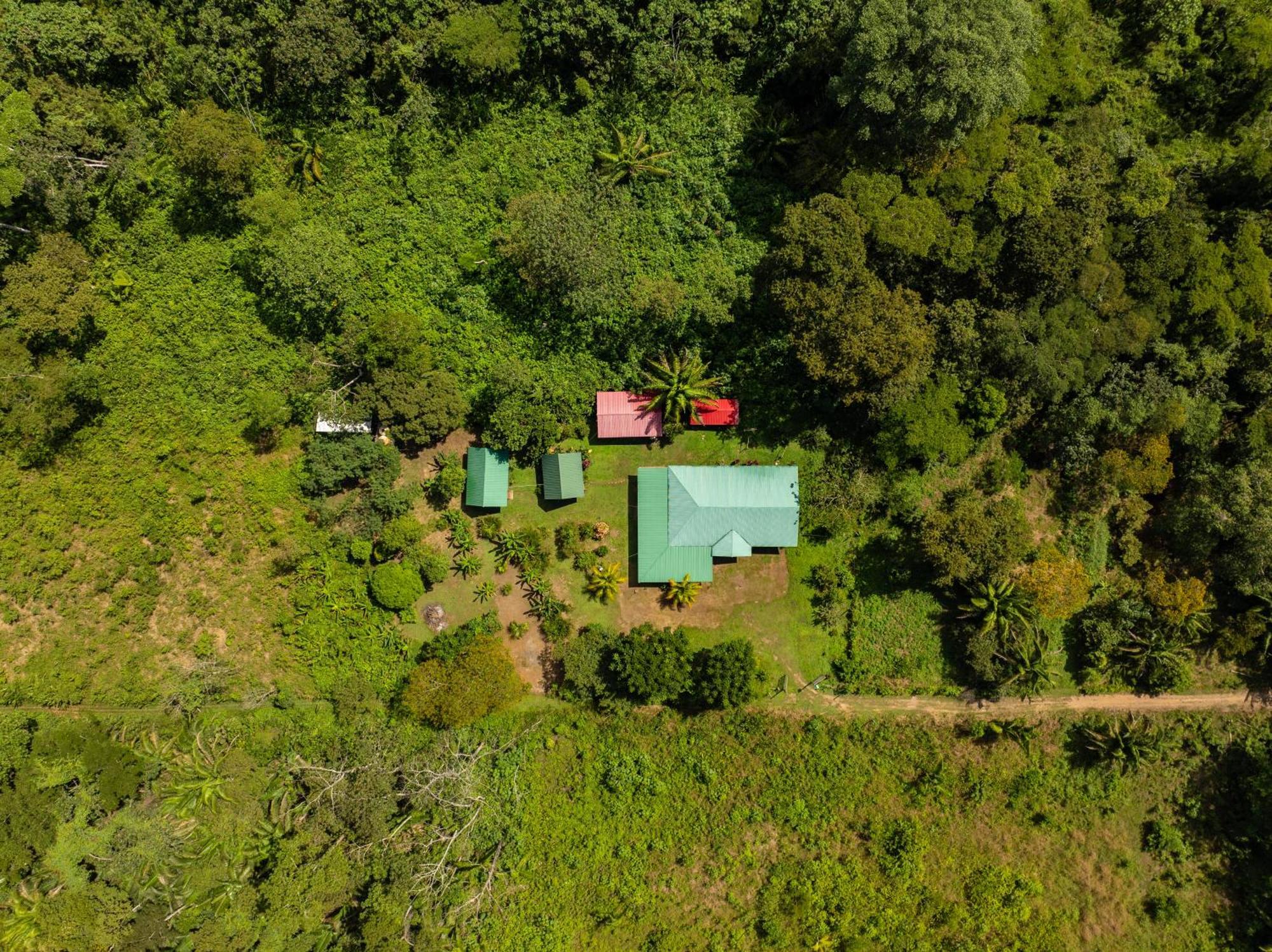 Quirquincho House Lodge Пуэрто-Мальдонадо Экстерьер фото